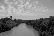 IMG_4137